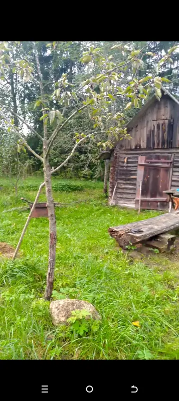 Участок с домом