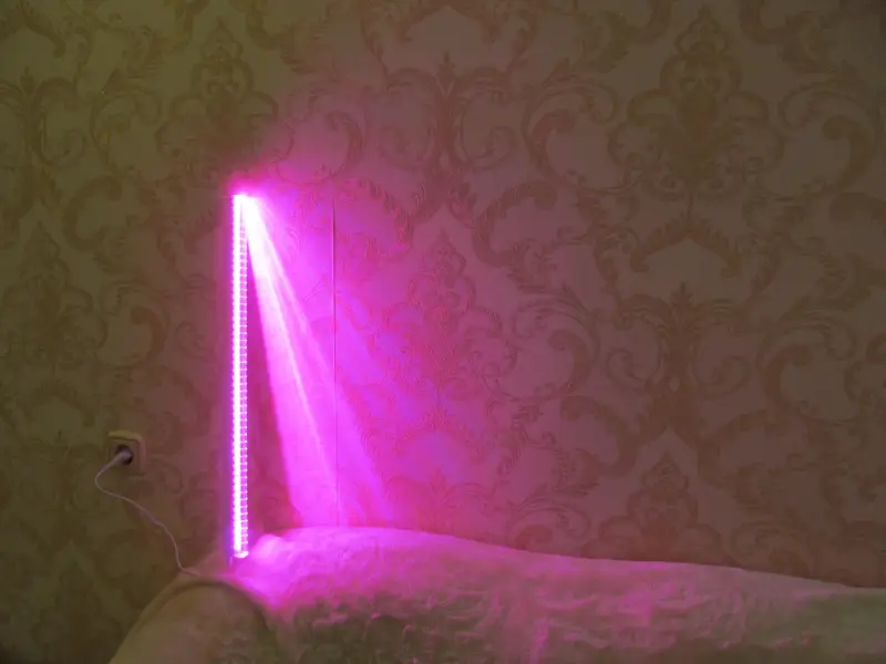 Фито лампа (фито светильник) ALFALED серия LI, 10Вт, 57 см., провод 45см.